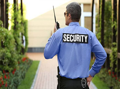 What are the Duties of Company Security Guards?